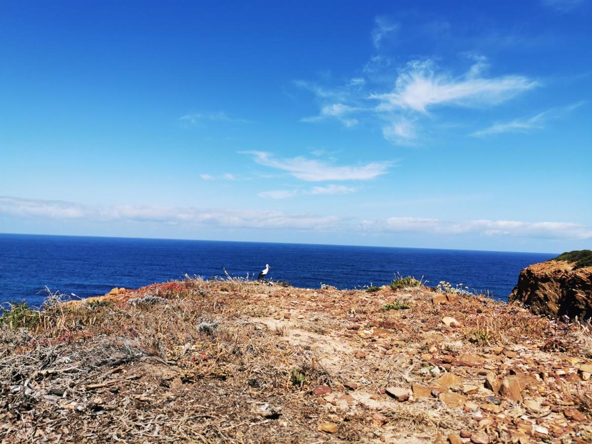 Quinta Do Paraiso São Teotónio Esterno foto